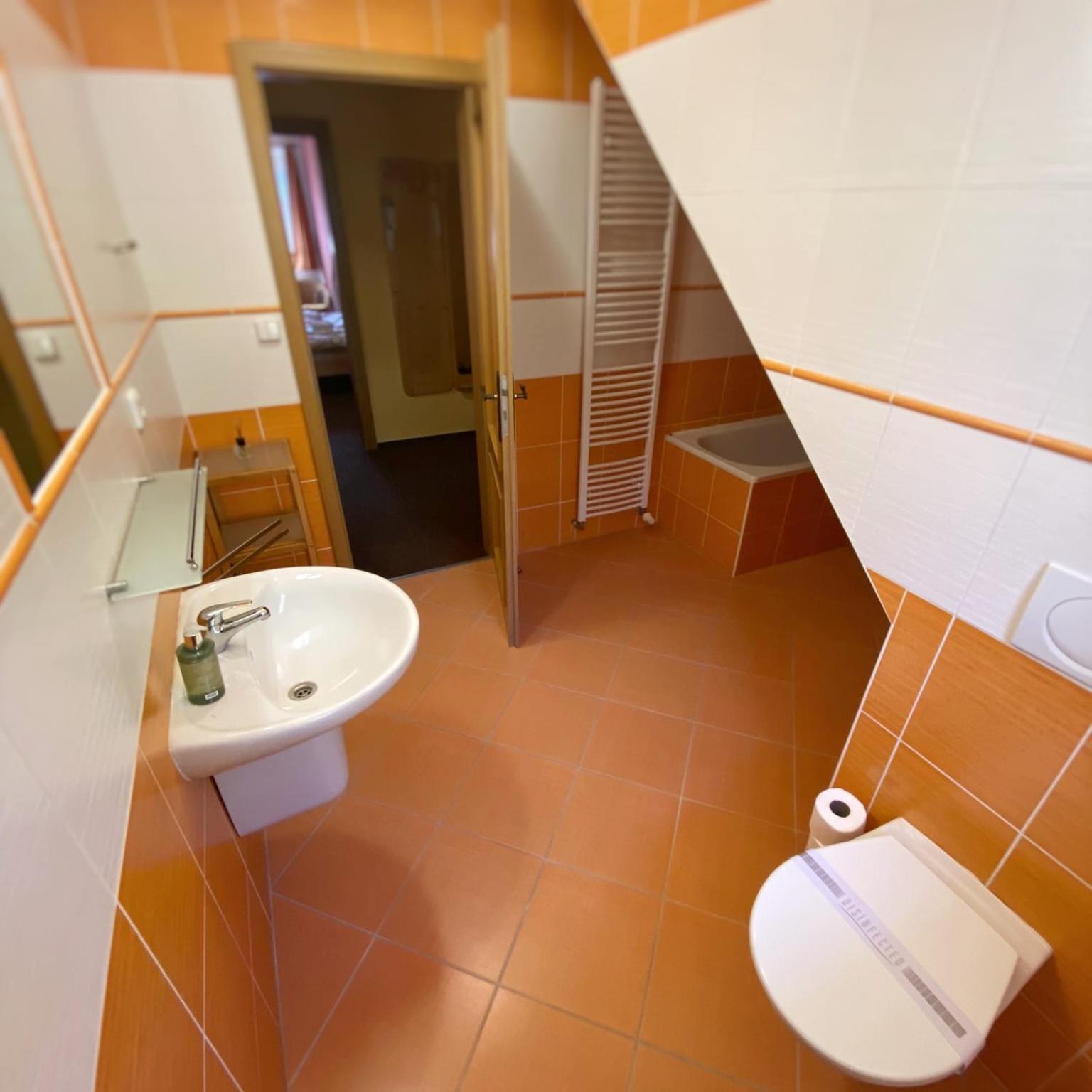 Horsky Hotel Snezenka Hynčice pod Sušinou Dış mekan fotoğraf